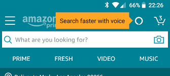 voice-visual-search